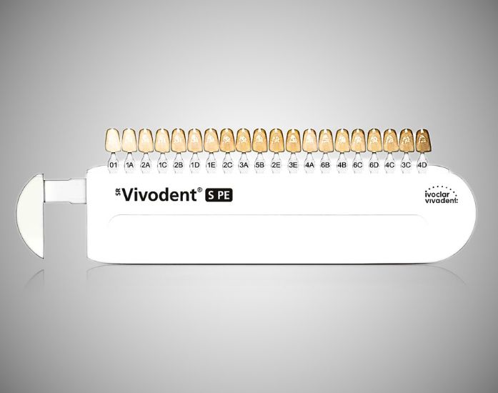 Teintier SR VIVODENT S PE