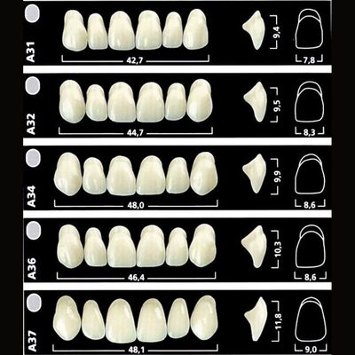 Dents Antérieures