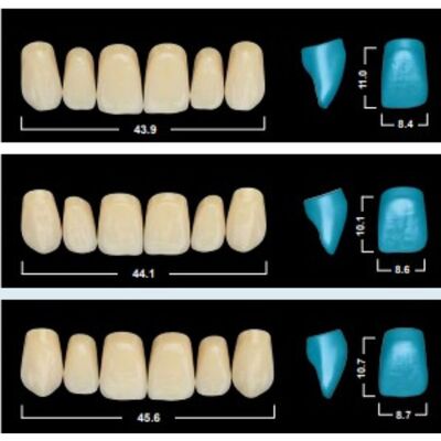 Divers Dents